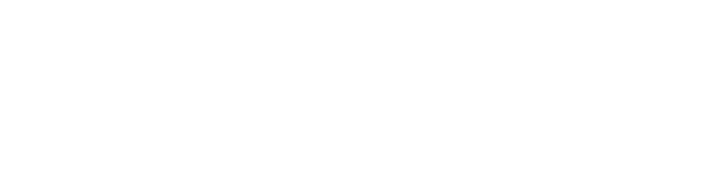 Fenox Logo
